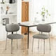 2Pcs Velvet Leaf Grain Dining Chairs, Modern Ergonomic Backrest Chairs with Silver Metal Legs, for Living Room, Kitchen, Dining Room, Set of 2, Gray