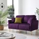 Modern Velvet Loveseat with Round Arm and 2 Throw Pillows, Upholstered 2 Seat Sofa with Metal Legs,for Small Spaces Living Room Bedroom Office,Purple