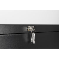 Lateral Filing Cabinet with 2 Drawers, Large Deep Drawers Locked by Keys, Wide Lockable File Cabinet, Metal Steel, Easy to Assenble for Home Office, Black