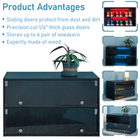 Black Shoe Box with RGB Led Light, 2 Tiers Storage Shoe Cabinet with Flip Glass Door, Free Standing Shoe Rack Shoe Organizer for Entryway Hallway Bedroom Small Space