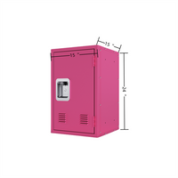 Metal Storage Cabinet with Locking Doors, Detachable Steel Storage Cabinet with Ample Storage Space, Small Locker Cabinet for Office Garage Home, Easy Assembly, Pink (20"L x 15"W x 15"H)
