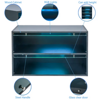 Black Shoe Box with RGB Led Light, 2 Tiers Storage Shoe Cabinet with Flip Glass Door, Free Standing Shoe Rack Shoe Organizer for Entryway Hallway Bedroom Small Space
