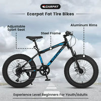 Bike, Bicycle with Dual Disc Brake and High-Carbon Steel Frame, 20 Inch Fat Tire Mountain Bike, Full 7 Speed Mountain Bike for Adult and Teenagers