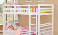 Triple Tree Twin Over Twin Transitional Bunk Bed With Two Drawers And Attached Ladder, White