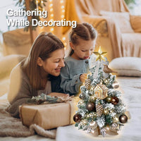 2ft Mini Christmas Tree, Tabletop Xmas Tree with Light, Decoration, Flocked Snow, Top Star, Christmas Decor & Xmas Ornaments for Home & Office, Brown