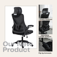 Ergonomic Office Chair, Desk Chair with Adjustable Height and Swivel Wheels, Home Mesh Computer Chair with Lumbar Support, Headrest and Armrest for Home, Study and Working, Black