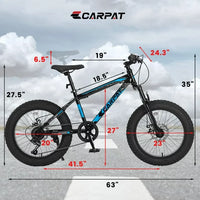 Bike, Bicycle with Dual Disc Brake and High-Carbon Steel Frame, 20 Inch Fat Tire Mountain Bike, Full 7 Speed Mountain Bike for Adult and Teenagers