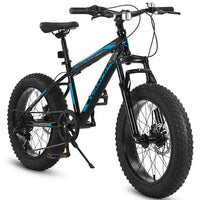 Bike, Bicycle with Dual Disc Brake and High-Carbon Steel Frame, 20 Inch Fat Tire Mountain Bike, Full 7 Speed Mountain Bike for Adult and Teenagers