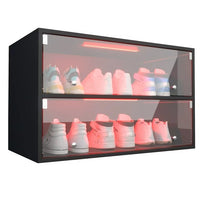 Black Shoe Box with RGB Led Light, 2 Tiers Storage Shoe Cabinet with Flip Glass Door, Free Standing Shoe Rack Shoe Organizer for Entryway Hallway Bedroom Small Space
