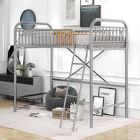 Twin Size Metal Loft Bed, Heavy-Duty Slatted Loft Bed Frame with Integrated Ladders, Space-Saving Bed Frame with Safety Full-Length Guardrails for Kids Teens Adults, No Box Spring Needed, Silver